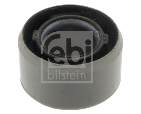 Bushing, axle beam